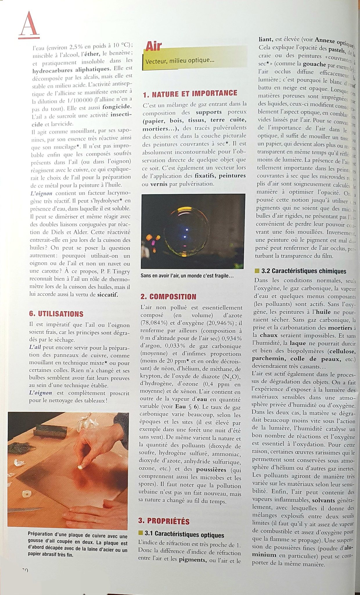 Perego — entrada del diccionario