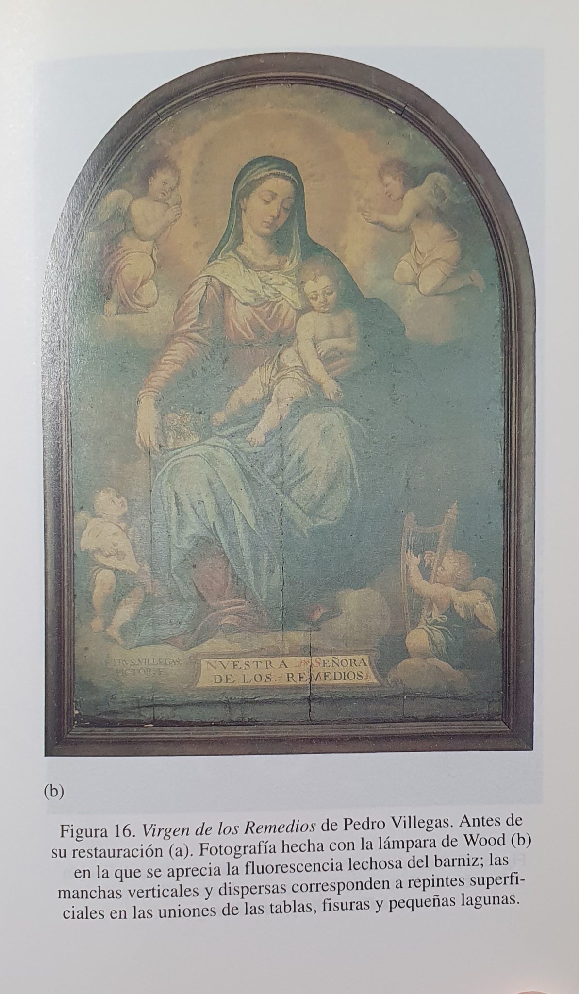 Gómez — páginas interiores