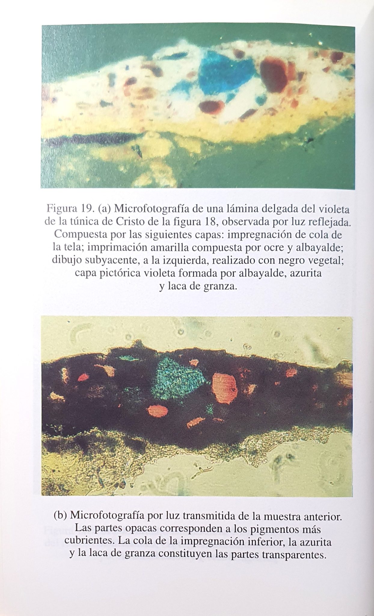 Gómez — sección estratigráfica