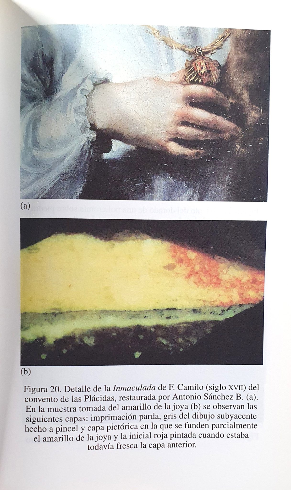 Gómez — sección estratigráfica 2