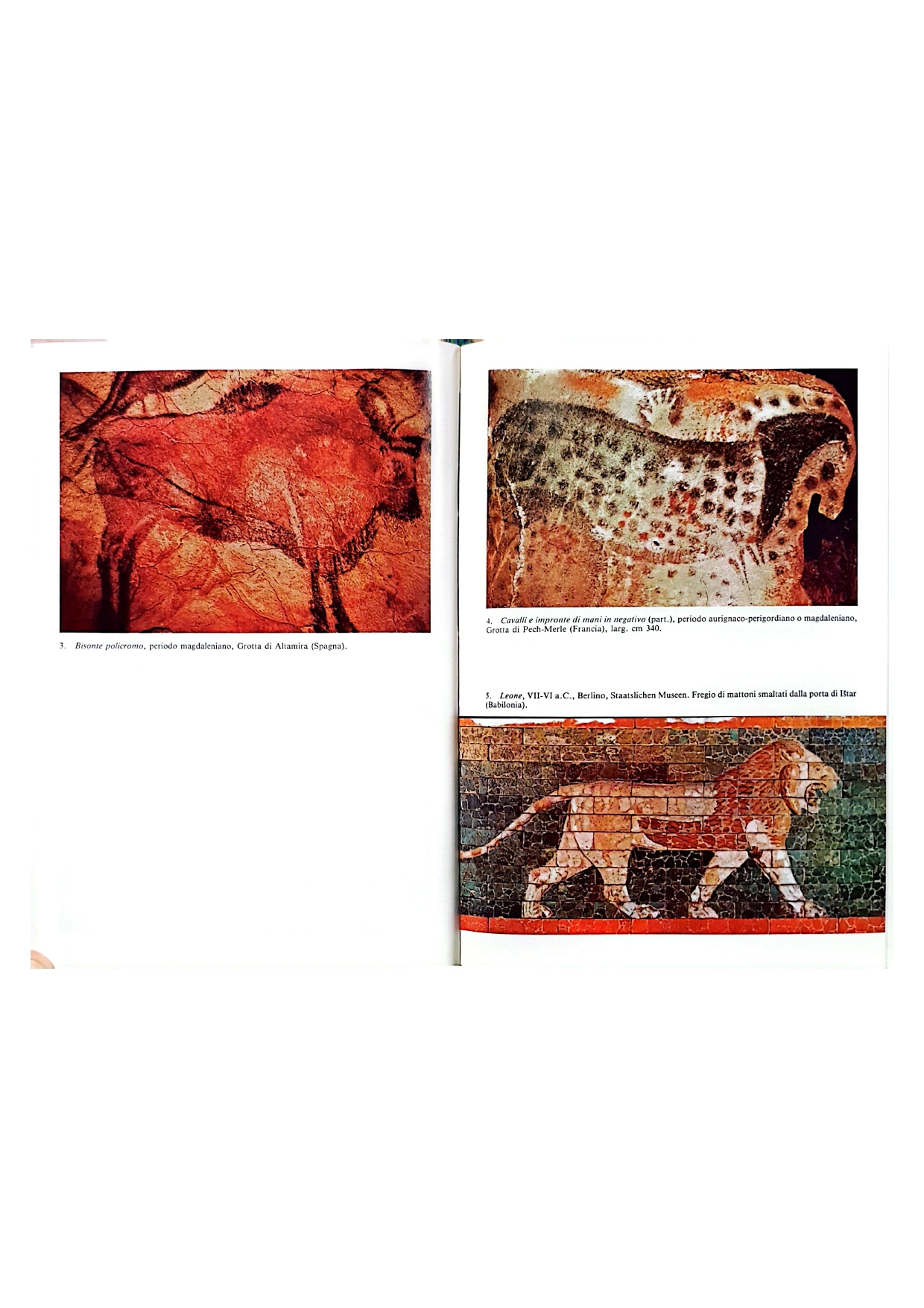 Maltese — arte paleolítico y China