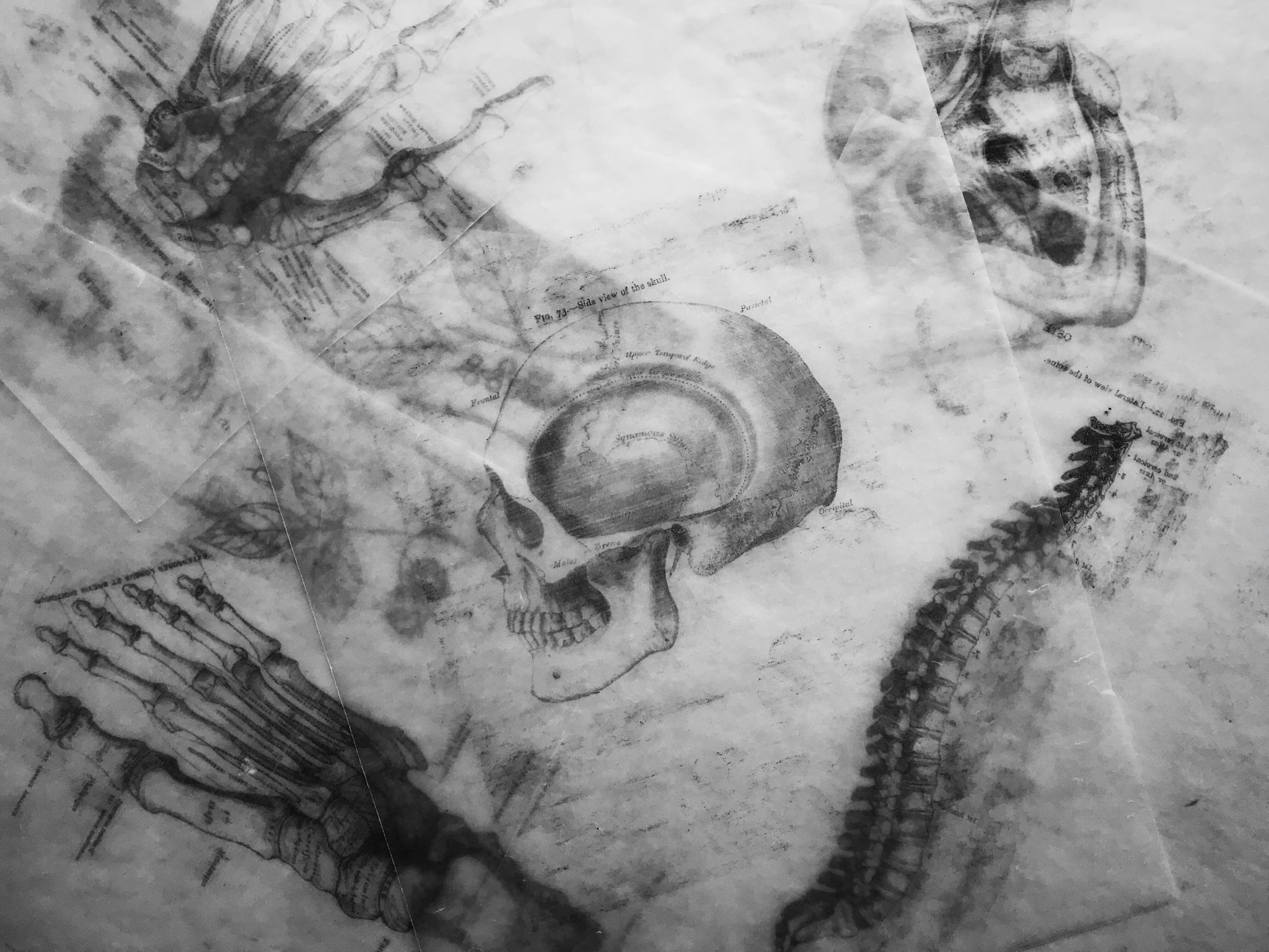 Dibujos en proceso — taller de dibujo IN Restauro