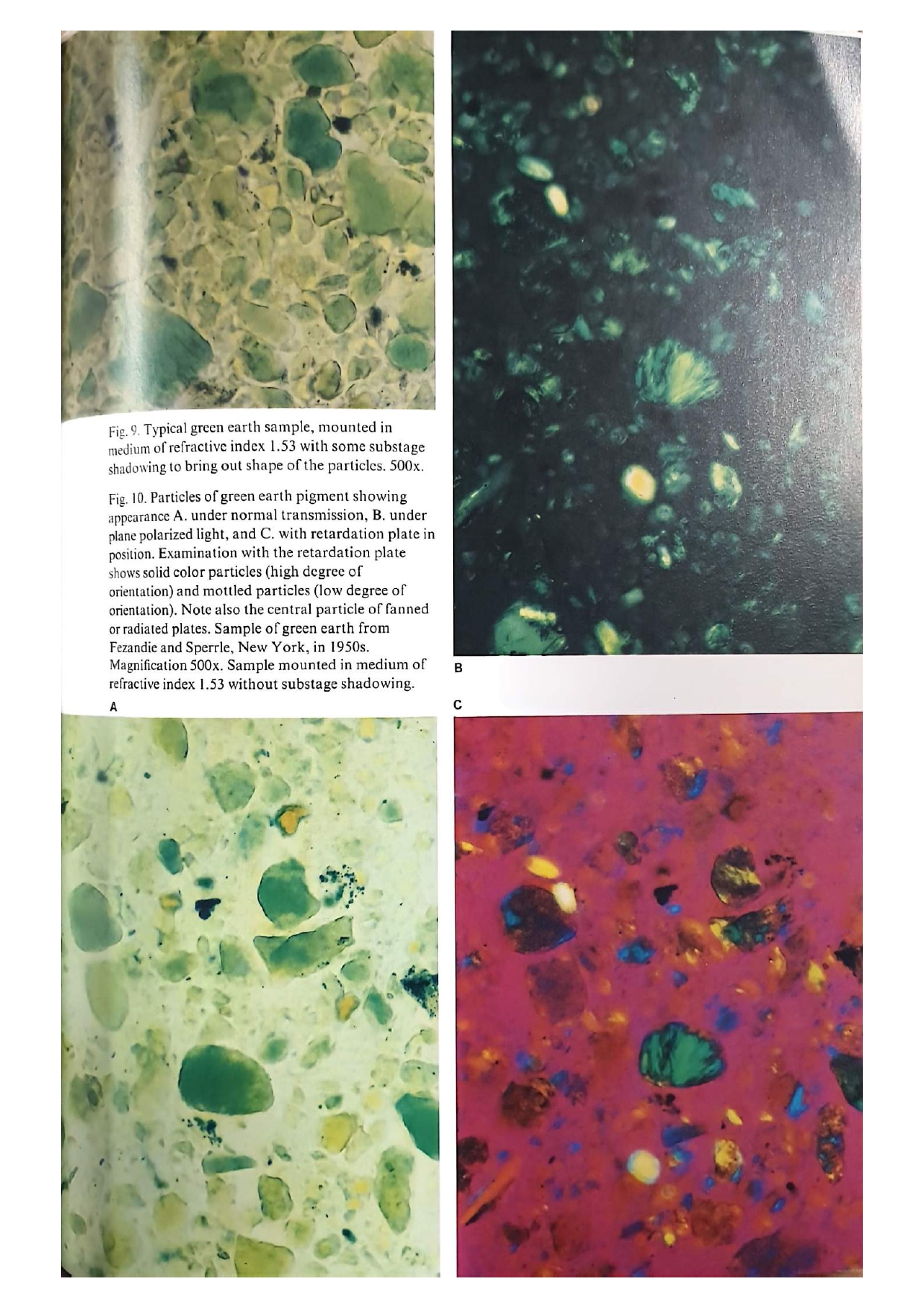 Artists' Pigments Vol. 1 — página interior