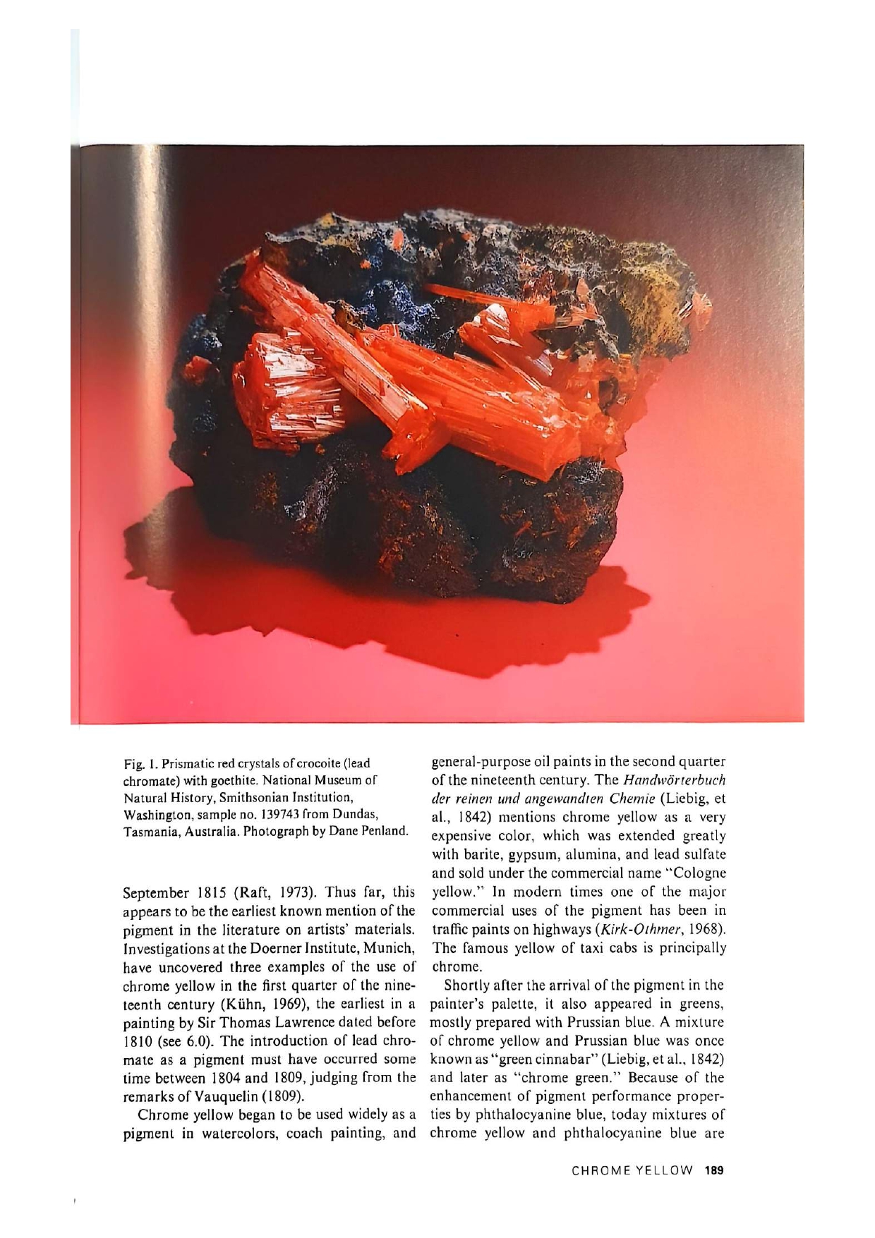 Artists' Pigments Vol. 1 — página interior