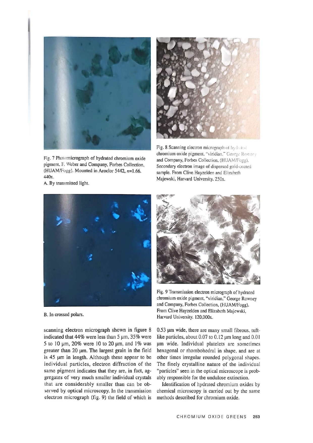 Artists' Pigments Vol. 3 — página interior